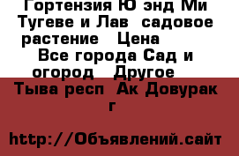 Гортензия Ю энд Ми Тугеве и Лав, садовое растение › Цена ­ 550 - Все города Сад и огород » Другое   . Тыва респ.,Ак-Довурак г.